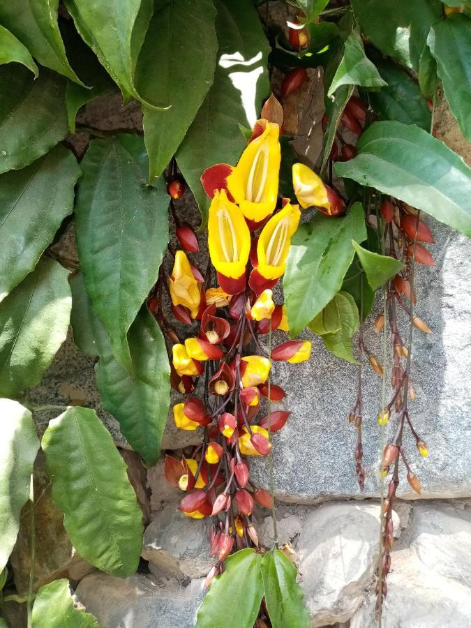 Two-Bedroom Chalet,1351711846:JPEG