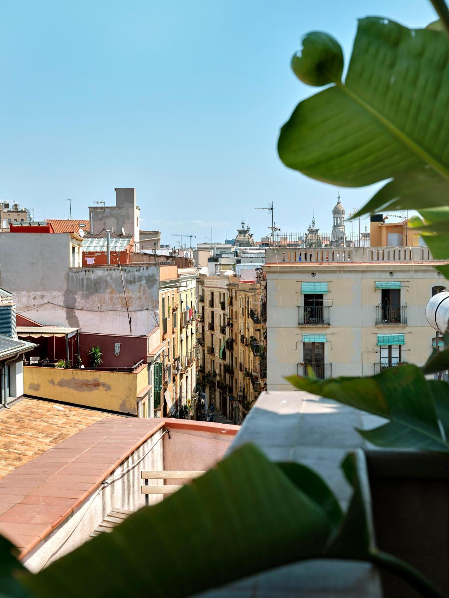 Suite Junior con terraza