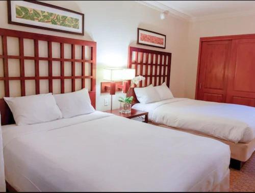 Suite Estudio Confort