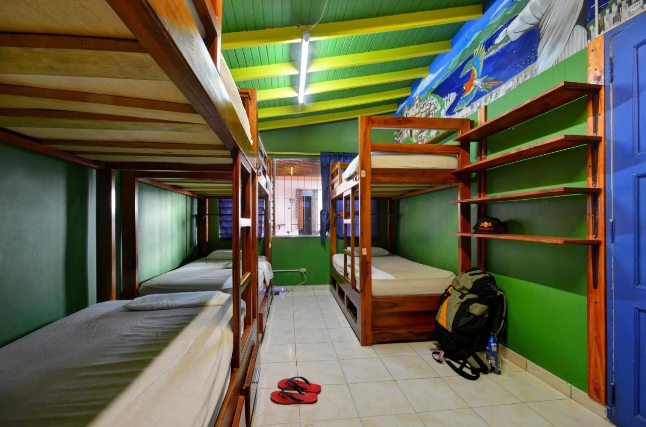 Cama en habitación compartida mixta de 8 camas