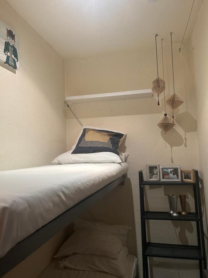 Bunk Bed Mixed Dormitory Room