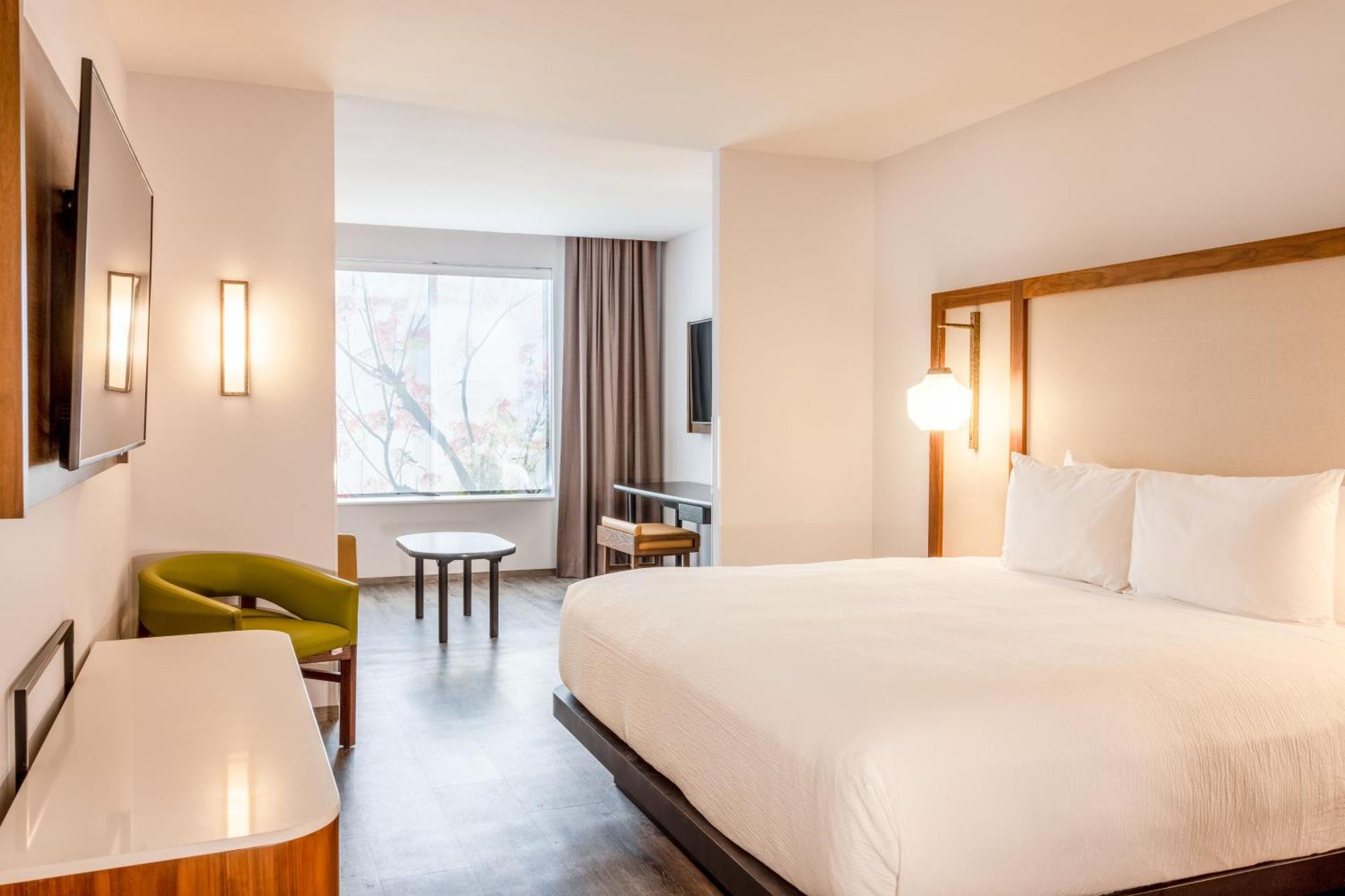 Suite Executive con 1 cama grande y 1 sofá cama