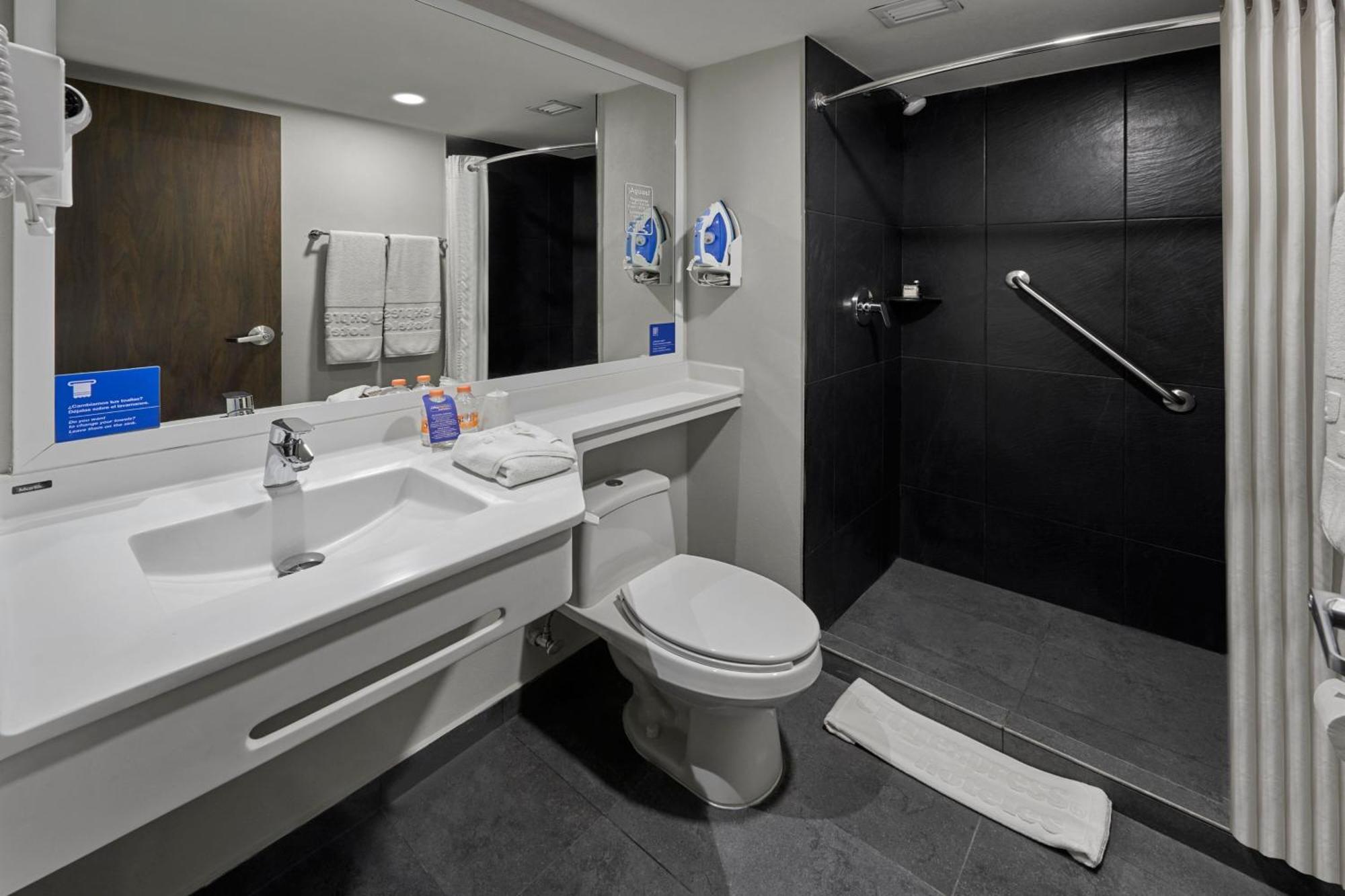Suite con 1 cama grande y sofá cama
