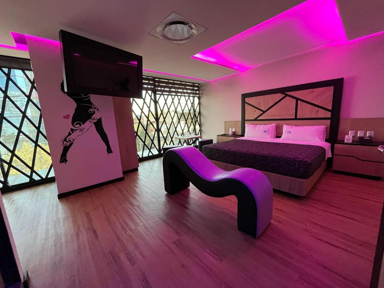 Estudio con cama extragrande