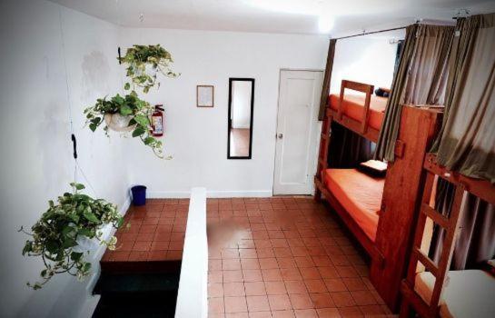 Bed in 10-Bed Mixed Dormitory Room,1643413115:JPEG