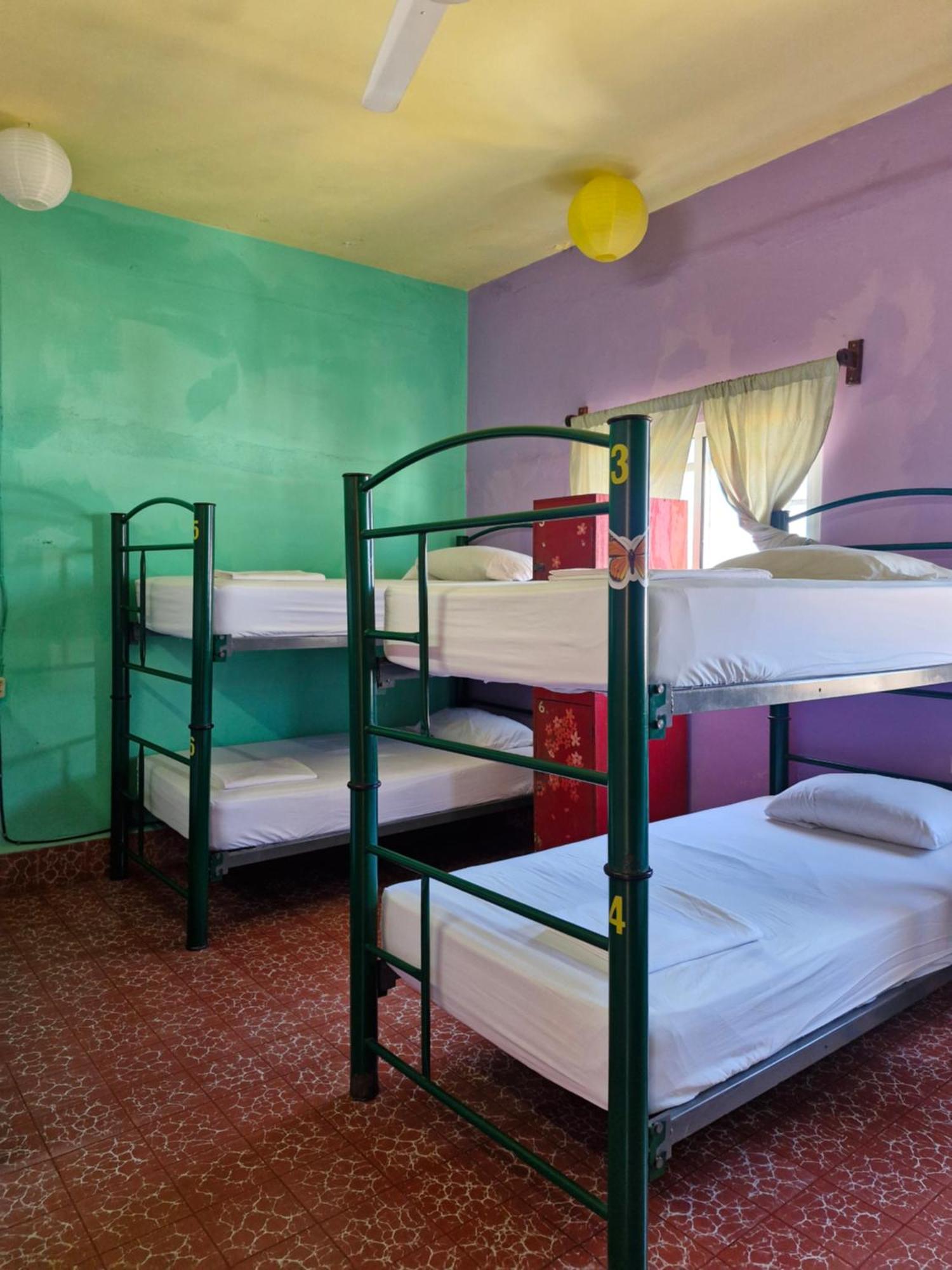 Single Bed Female Dormitory Room,1645660007:JPEG