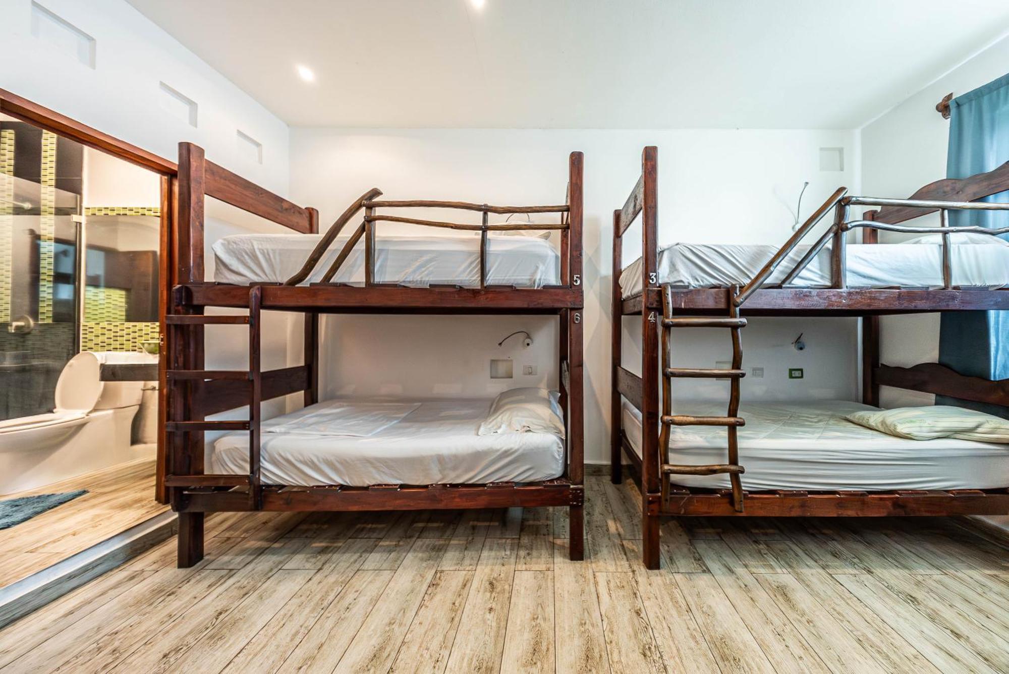 Bed in 6-Bed Mixed Dormitory Room,1656198443:JPEG