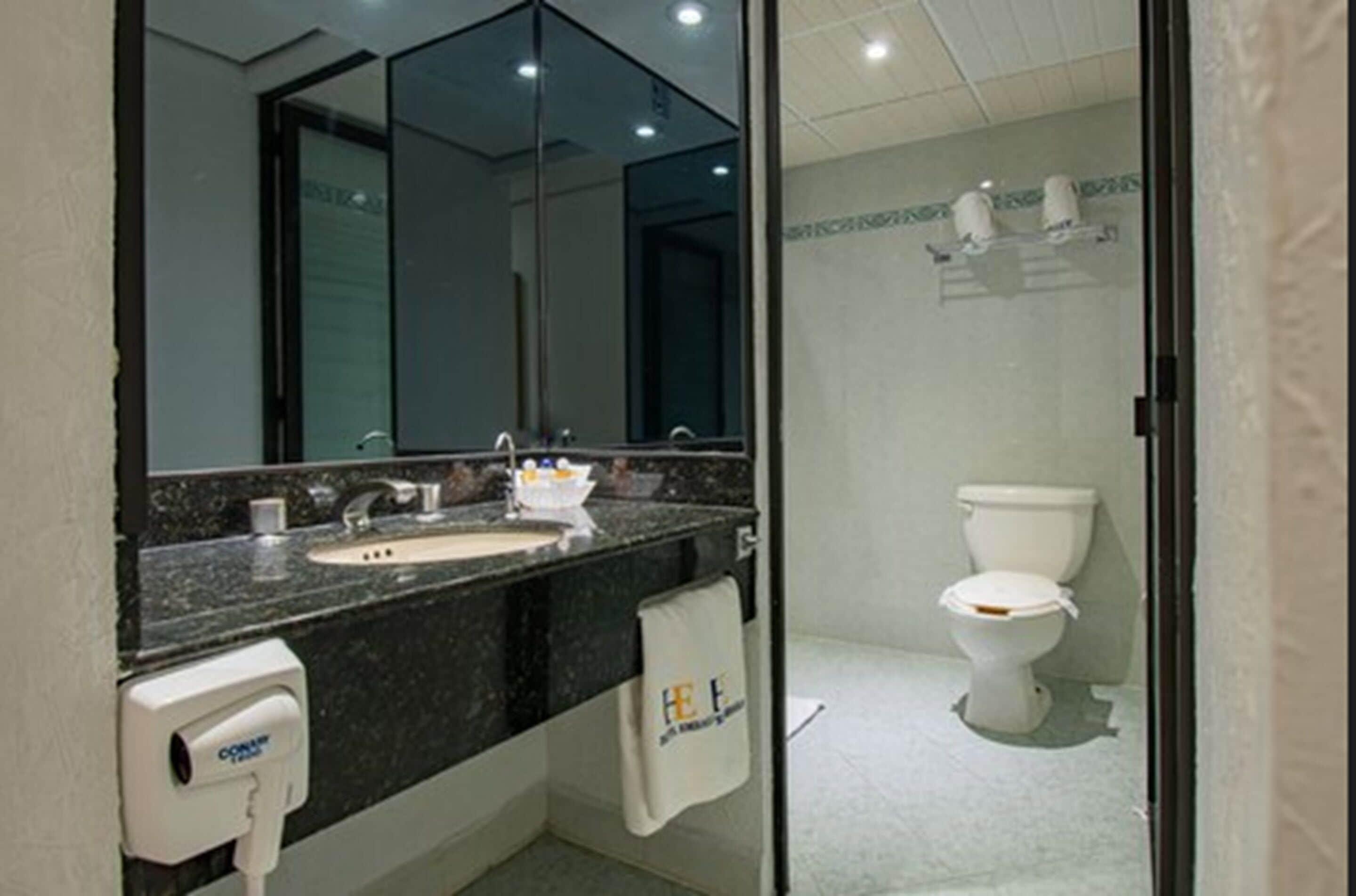 Suite Deluxe con cama extragrande