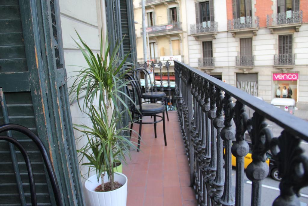 Litera en dormitorio compartido mixto (6 adultos)