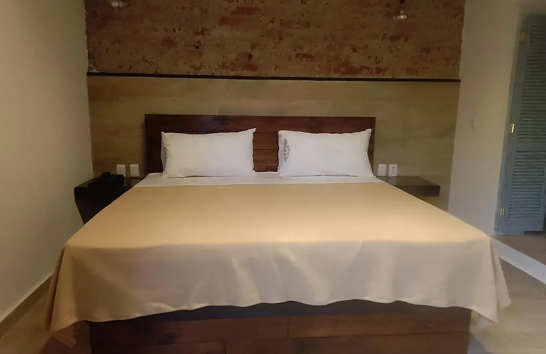 Hotel Sonno Plaza Allende-1