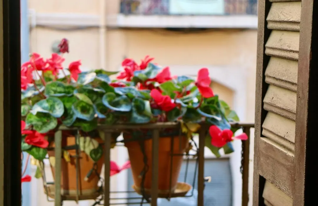 Hostal Poblenou-1