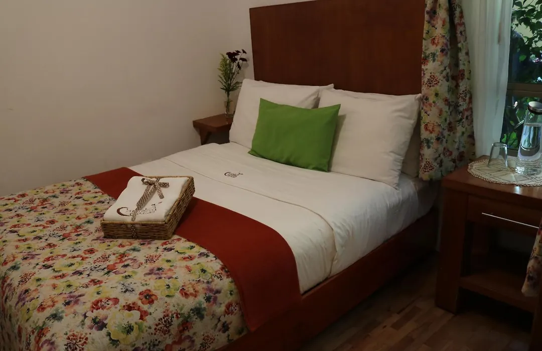 Chalet del Carmen, Coyoacán-1
