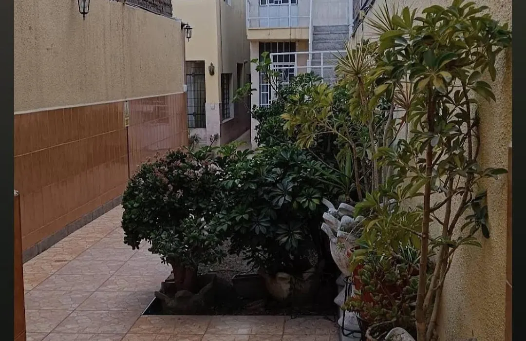 Hostal Samay misti av Tacna y Arica-1