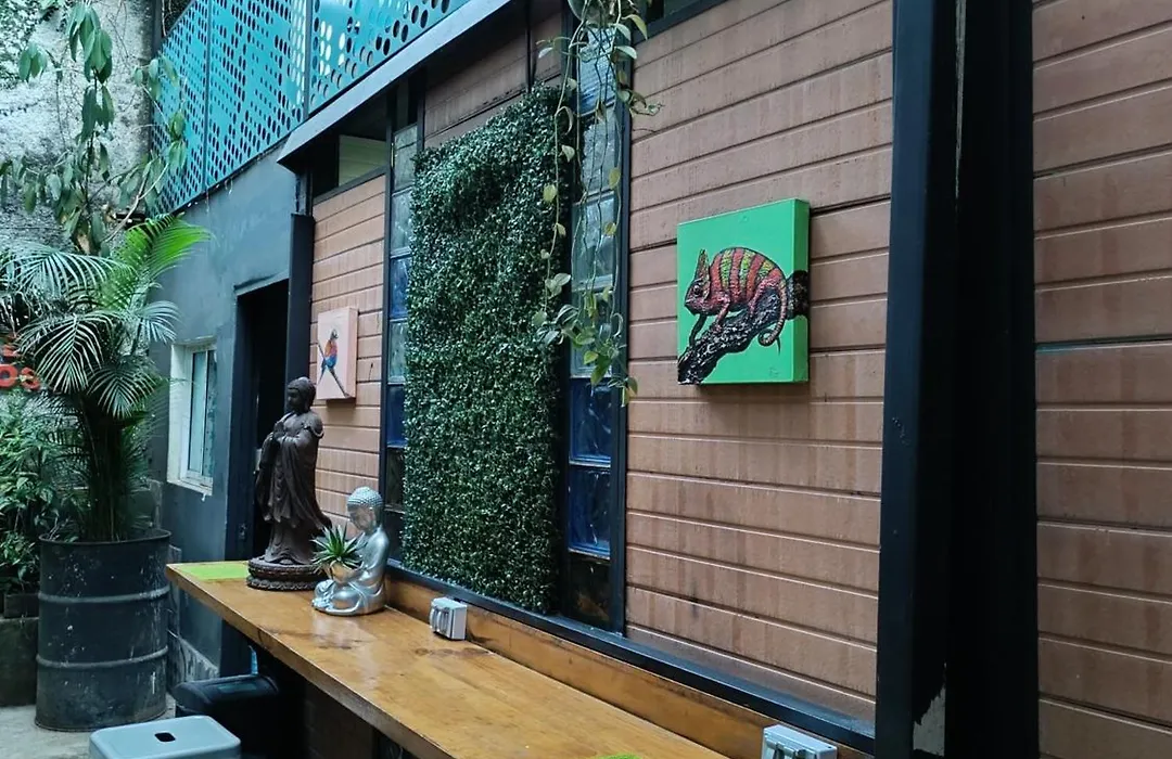 Canela Hostel Medellin-1