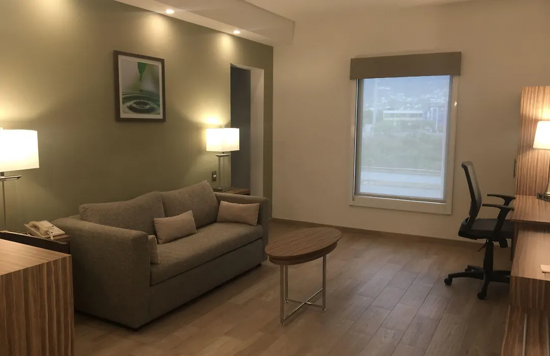 Wyndham Garden Monterrey Valle Real-1