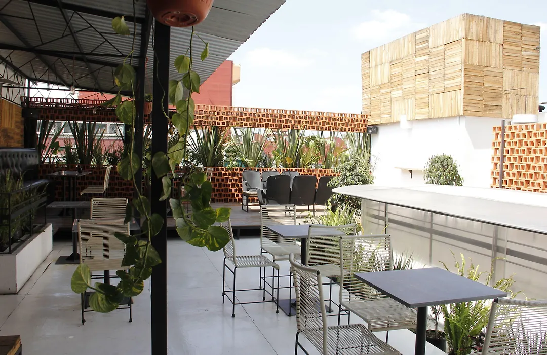 Hotel Itto Condesa-1