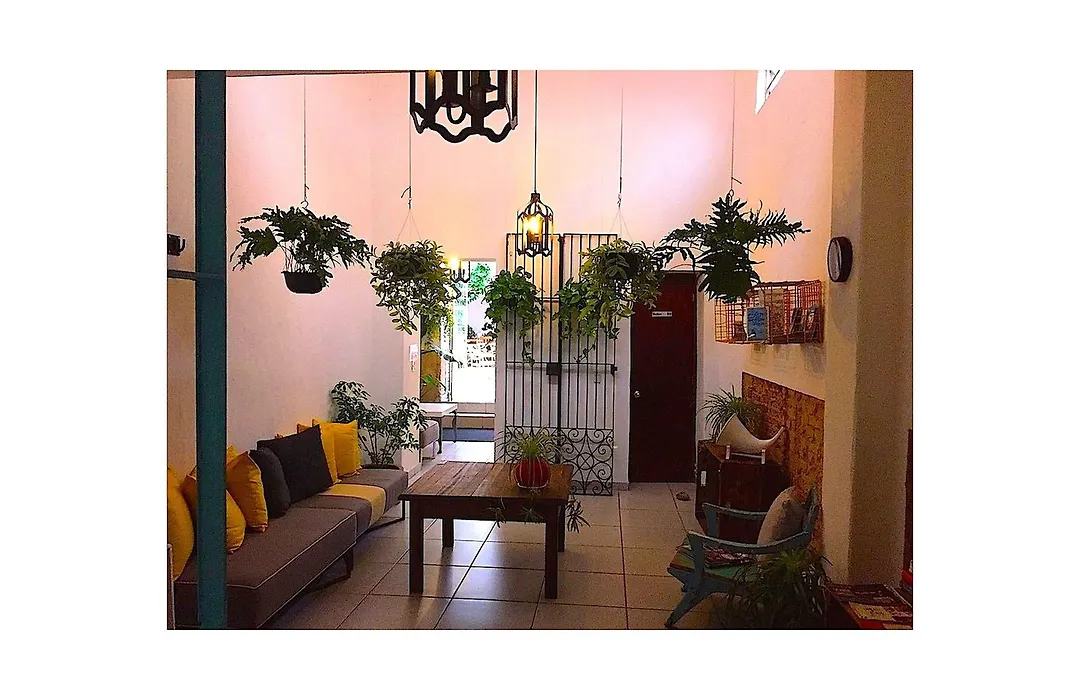 Casa Canario Hostel-1