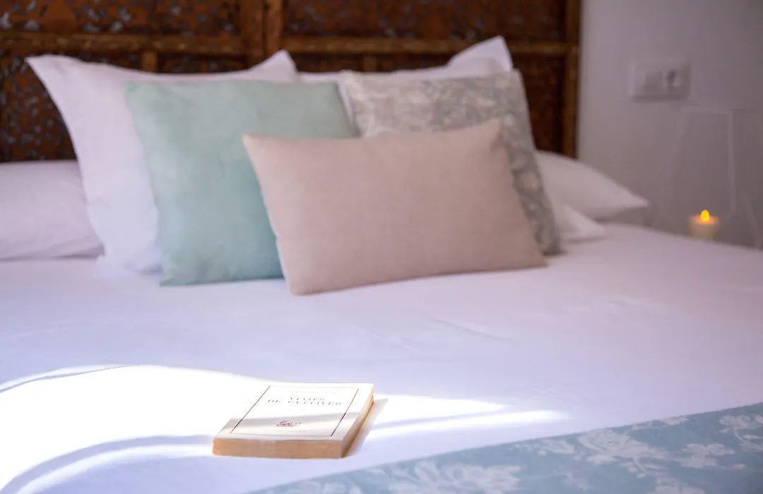 COME TO SEVILLA Suites del Arenal-1