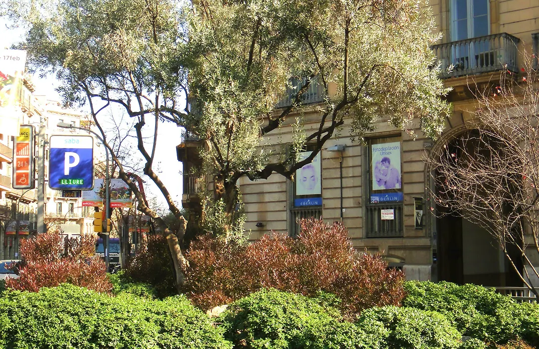 Hostal Live Natura Barcelona (Adults Only)-1