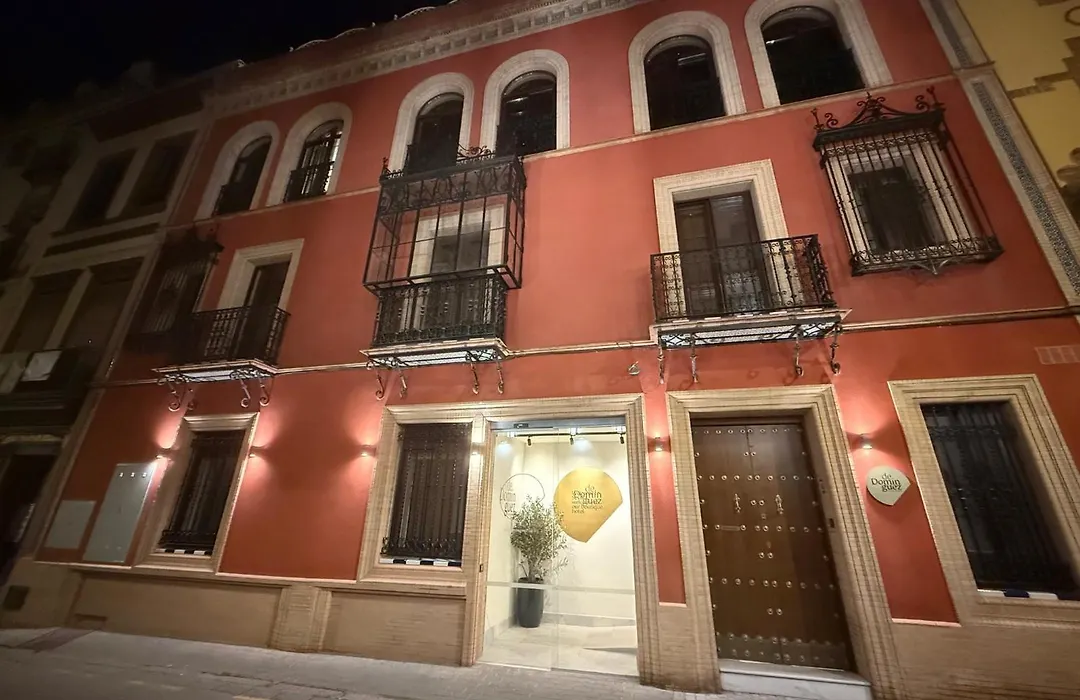 De Domínguez Hotel Boutique-1