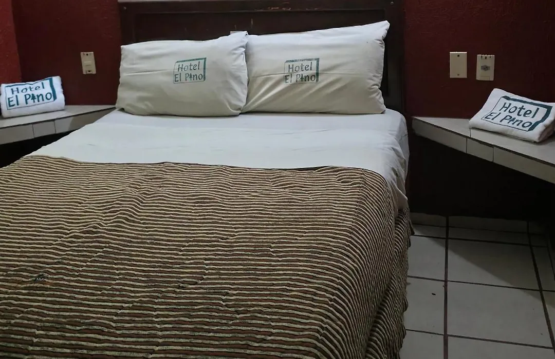 El Pino - Hotel Economico Guadalajara-1