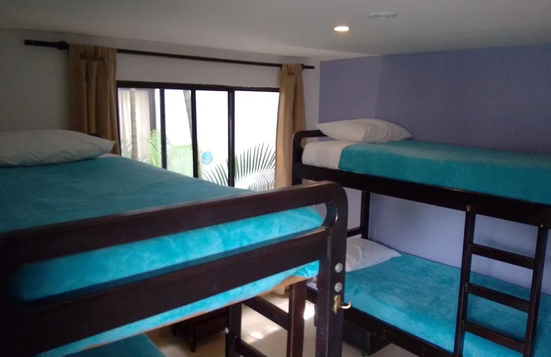 Casa Kiwi Hostel-1