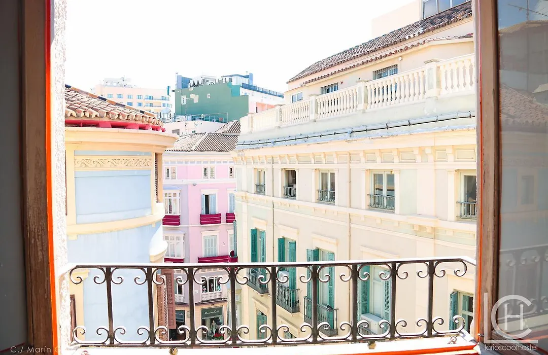 Larios Cool Hostel-1