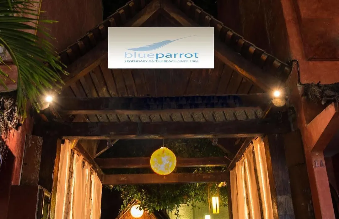Blue Parrot On 5Th Avenue-1