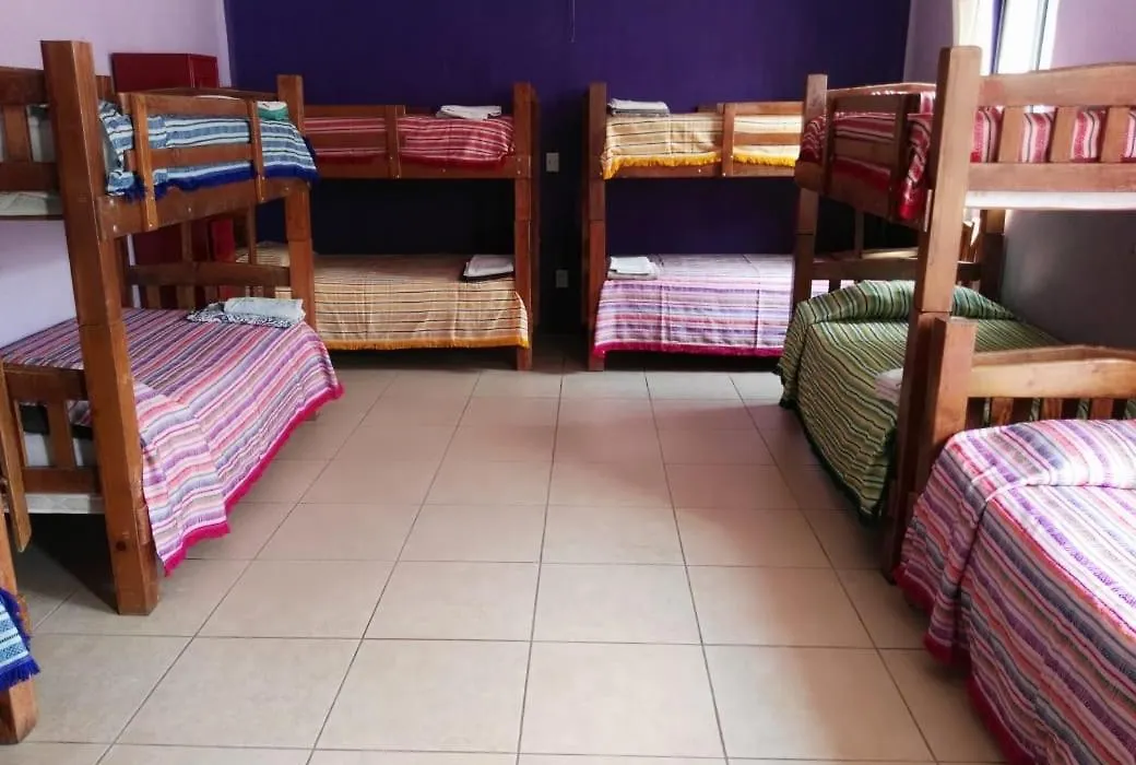 Olga Querida B&B Hostal-1