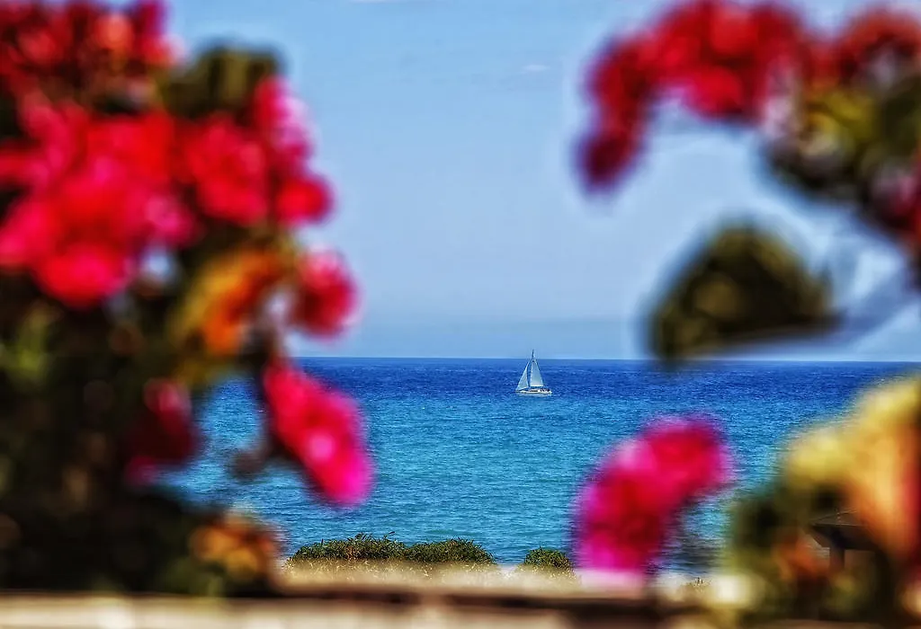 Pensión Provenzal-1