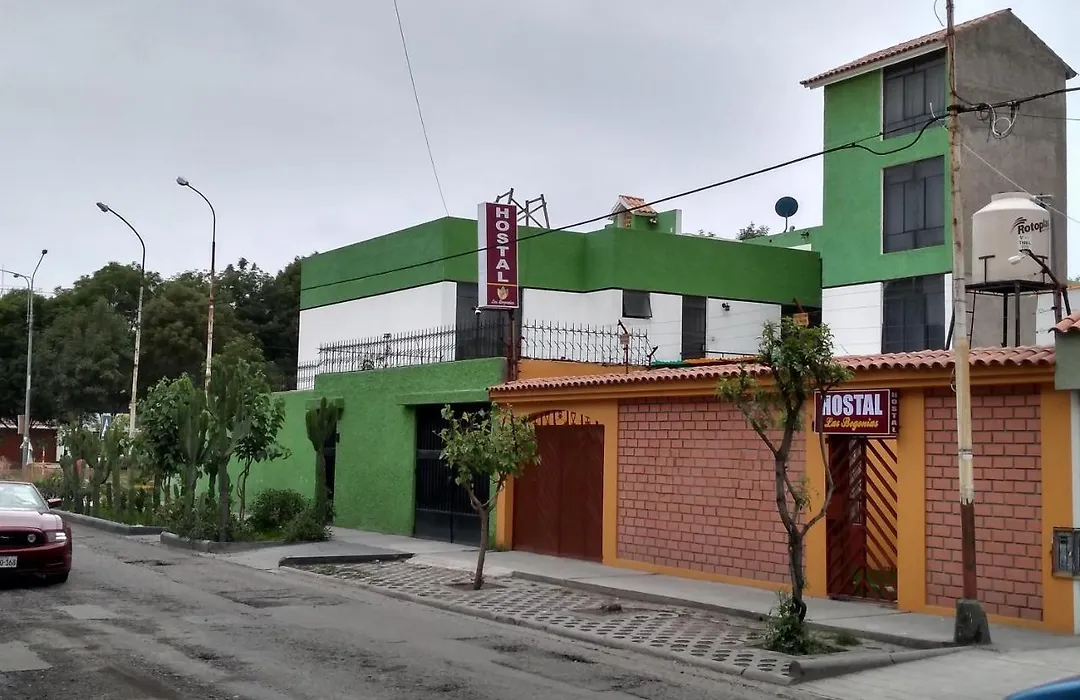 Hostal Las Begonias-1