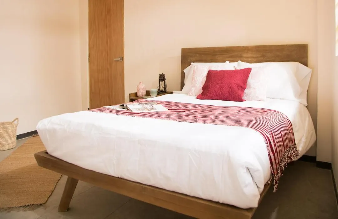 Cactus Hostel-1