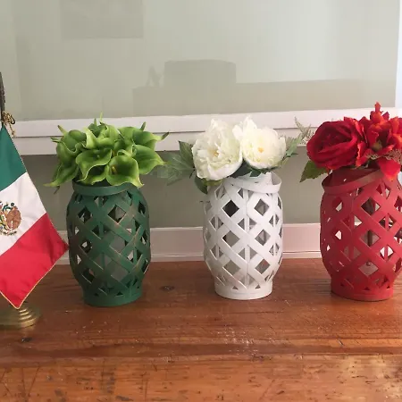Residence Las Trojes Cdmx-2