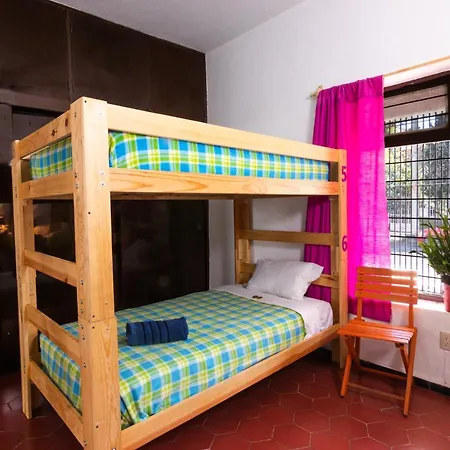 Hostal Casa Colores Adults Only-3