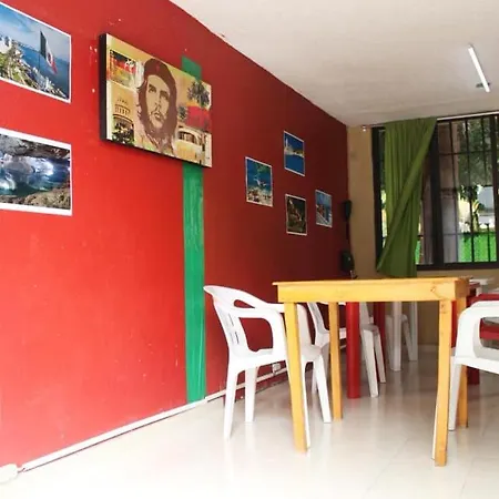 Balagan Planta Alta-2