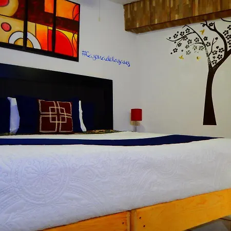 Hotel Casona de las Aves-3