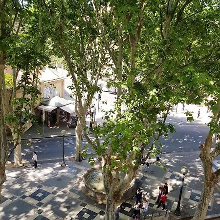 Rambla Palma Center-2