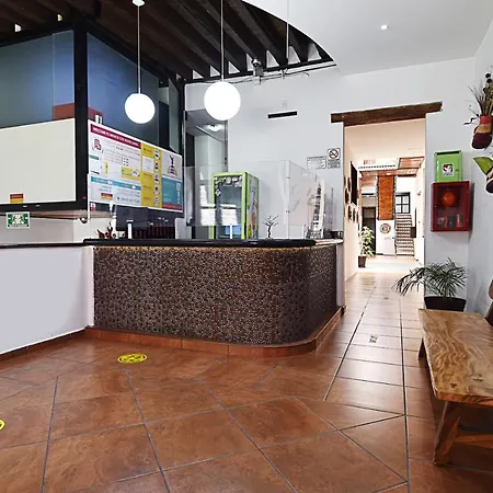Mexico City Hostel-2