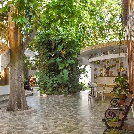 Green House Tarapoto-2