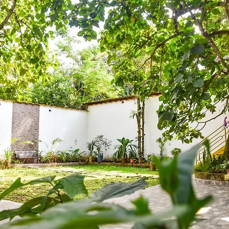 Green House Tarapoto-3