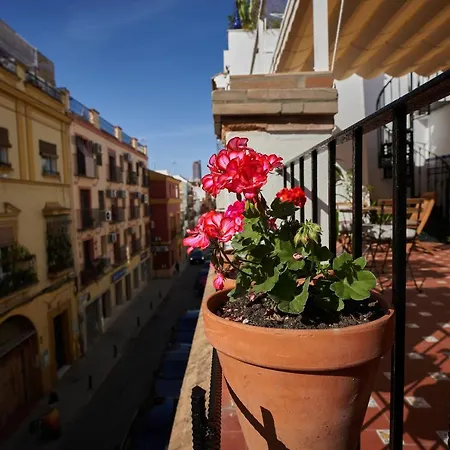 Casa Pureza-2