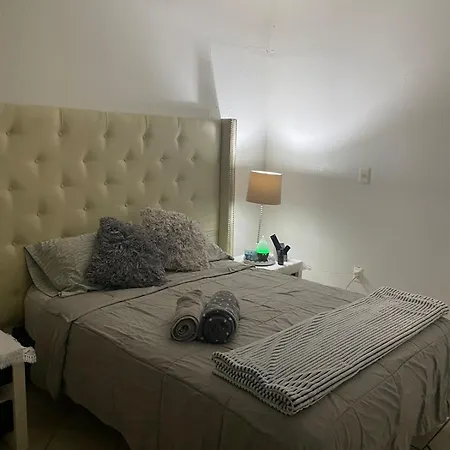 Loft Coyoacan-2
