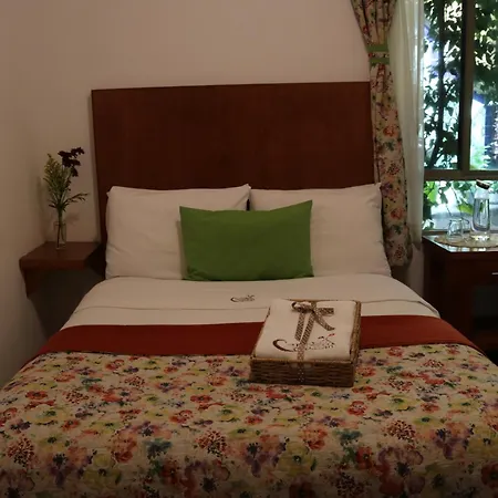 Chalet del Carmen, Coyoacán-2