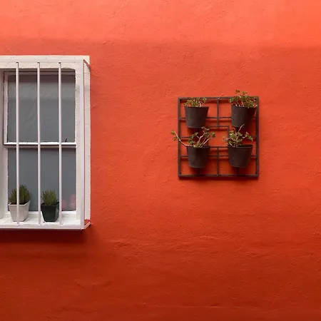 Villa Coyoacan-2