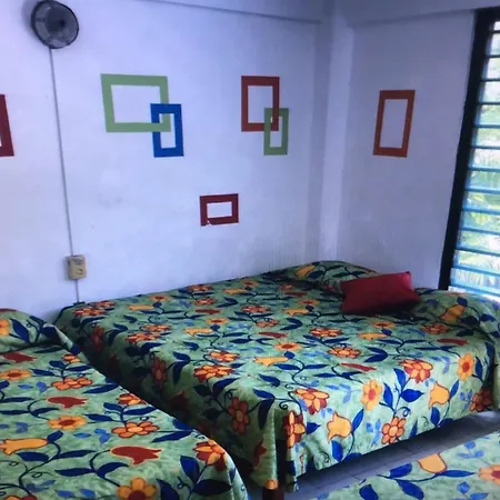 Hotel zócalo abuelos-3