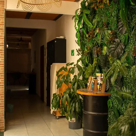 Oasis Hostel Medellin-2