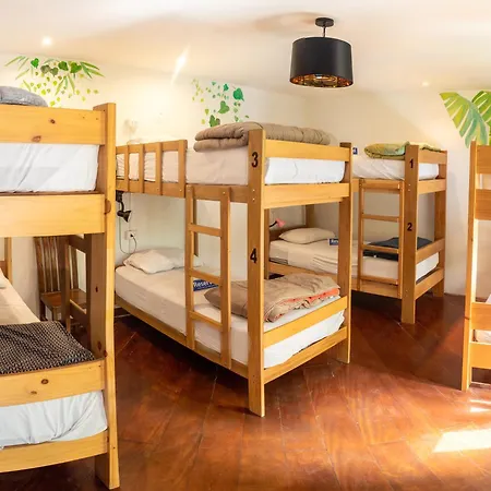 Rainbow Hostel-3
