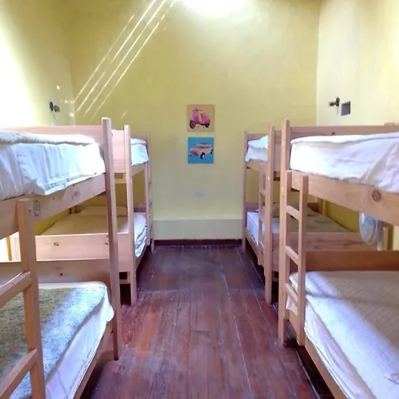 Wild Olive Guest House-2