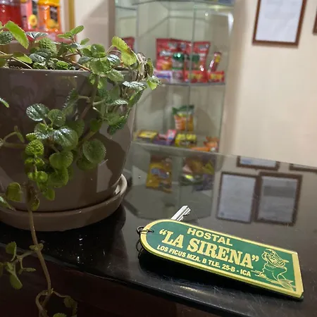 Hostal Sirena-2