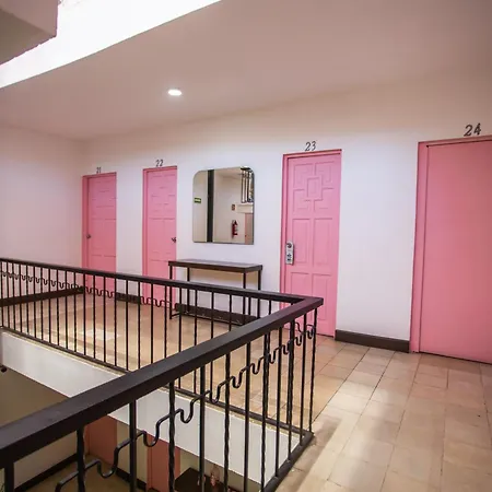 Hotel Tropicus Boutique-3